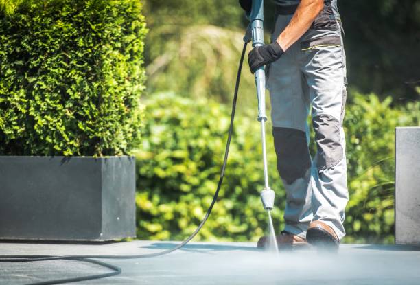 Best Building Exterior Washing  in Hamburg, PA