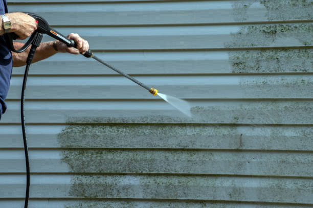 Best Roof Washing  in Hamburg, PA